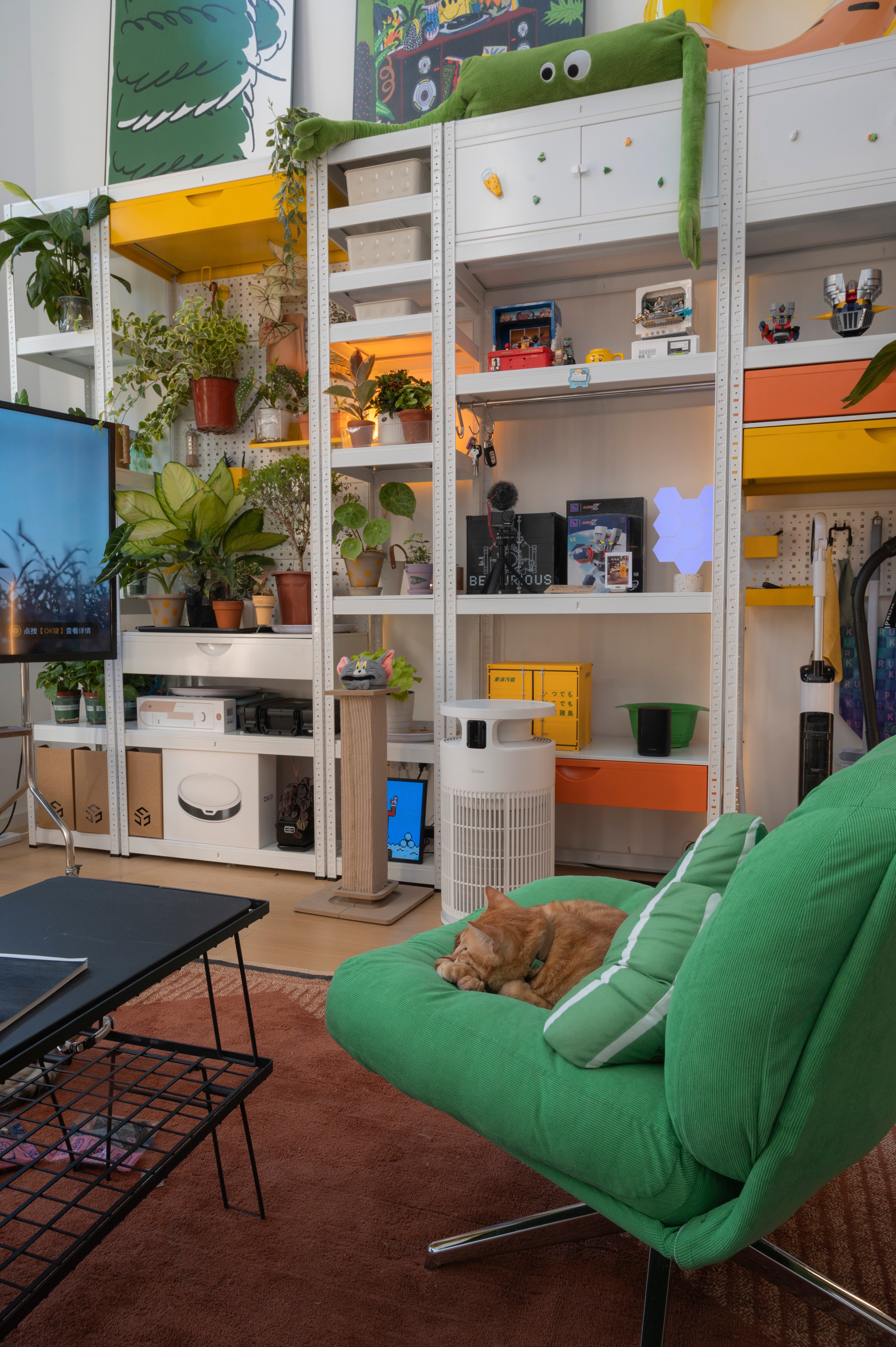 Minimalist Collection